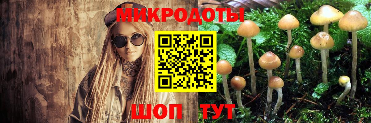 Галлюциногенные грибы Cubensis  Вход с VPN  Орёл 